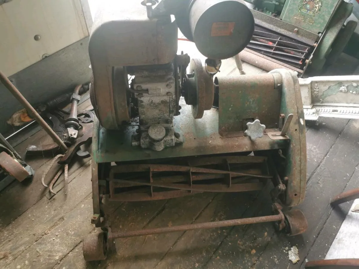 Cylinder lawnmowers - Image 2