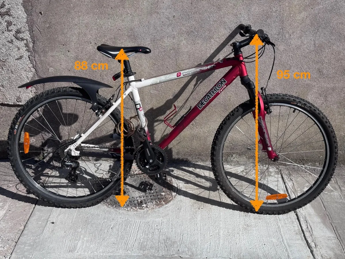 Bicycle - Image 3