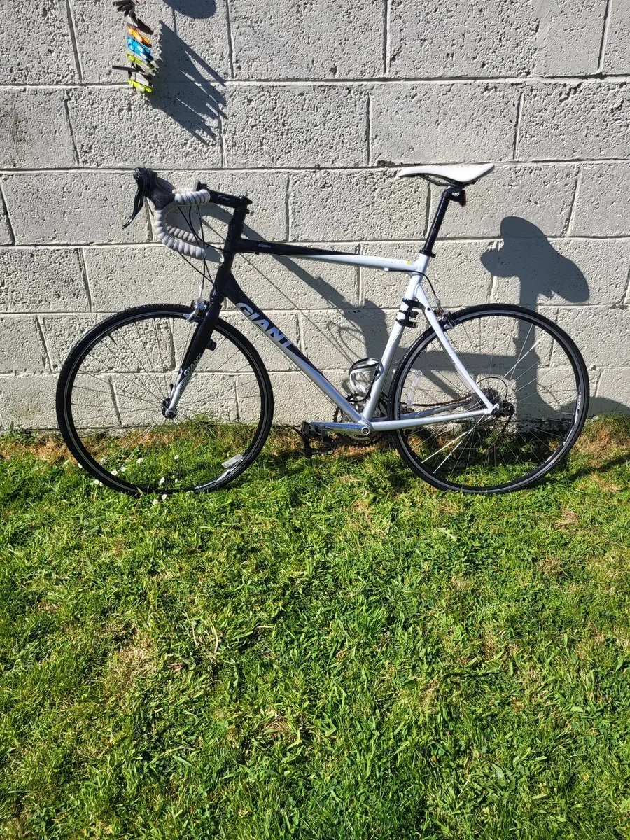 Mens Giant Bike - Image 1