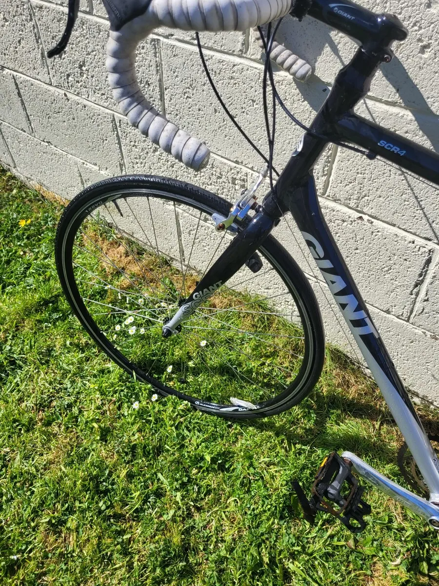 Mens Giant Bike - Image 3