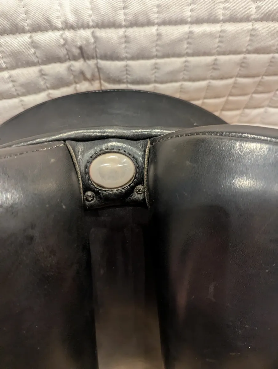 Bates Caprilli GP Saddle - Image 2