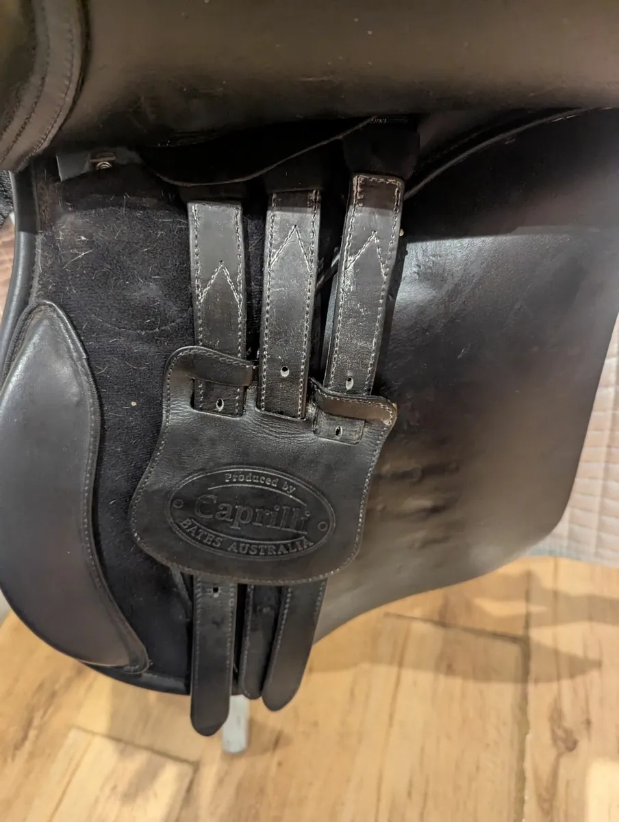 Bates Caprilli GP Saddle - Image 3