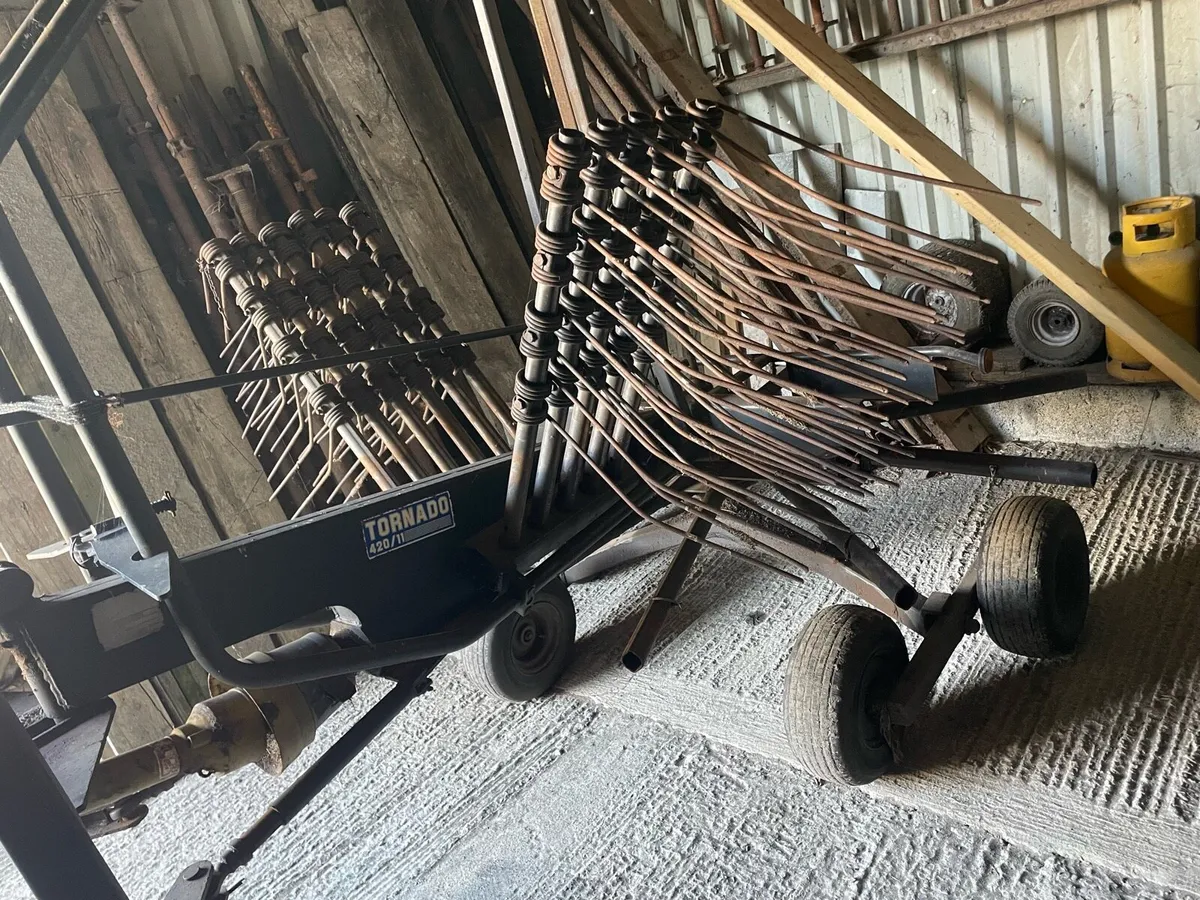 Silage Rake - Image 2