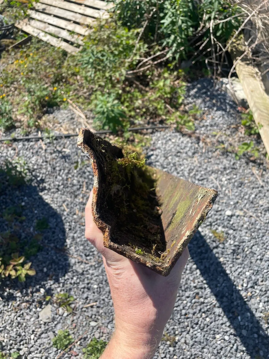 Cast iron gutters - Image 1