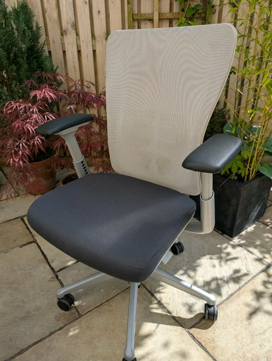 Ergonomic office chair - Image 1