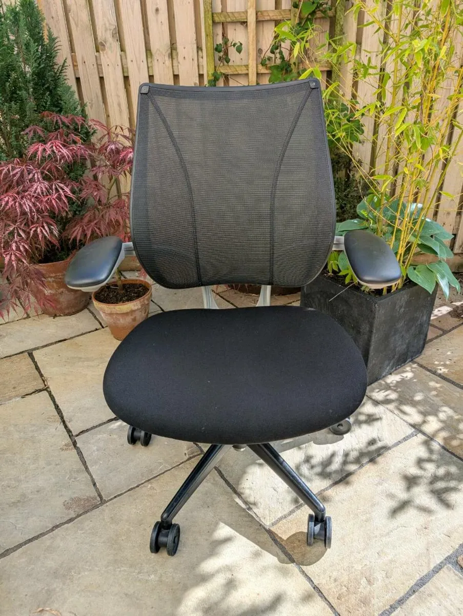 Ergonomic office chair - Image 1