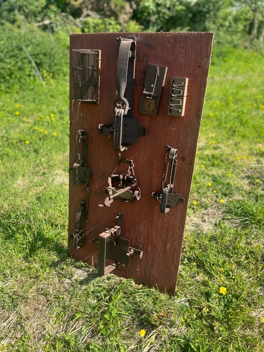 Collection of Antique Traps - Image 1