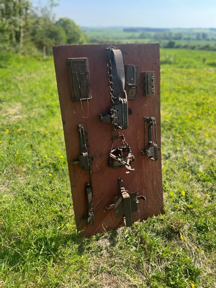 Collection of Antique Traps - Image 2