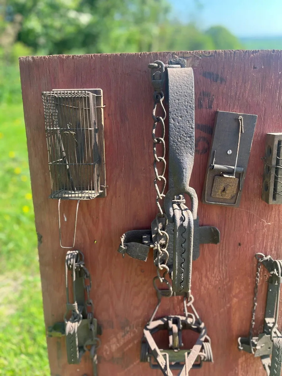 Collection of Antique Traps - Image 3