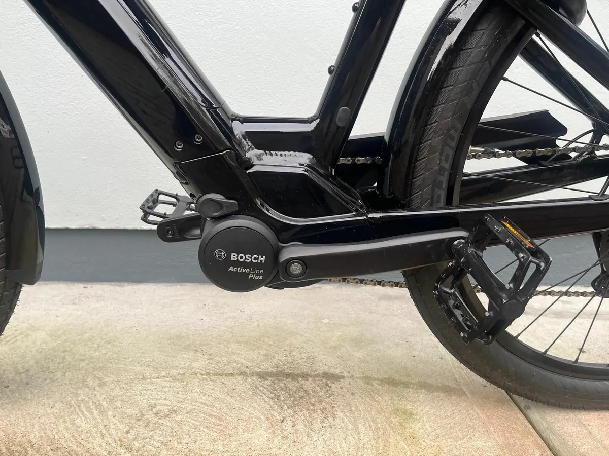 Electric Bicycle - Image 2