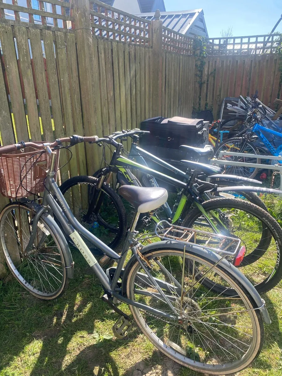 Mountain Bikes - Image 1