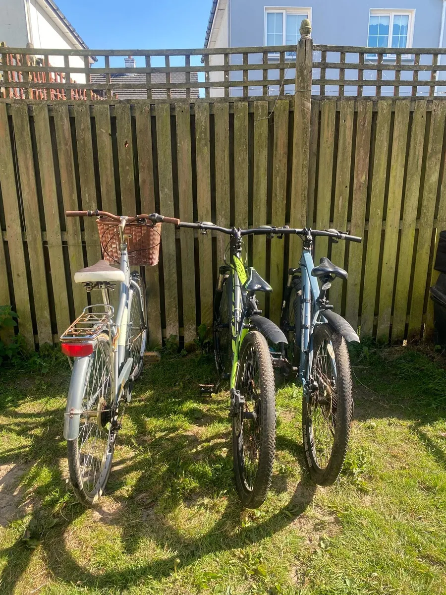 Mountain Bikes - Image 2