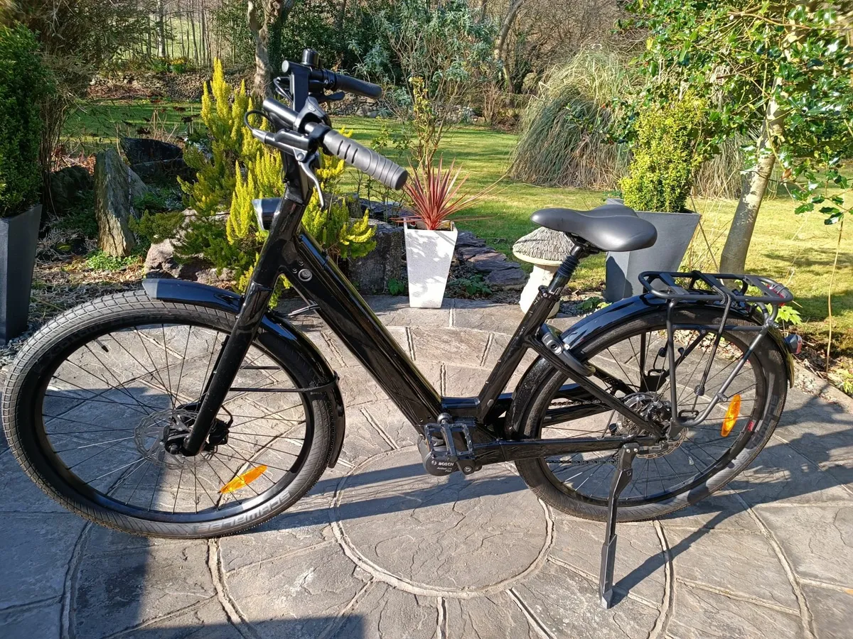 Electric Bicycle - Image 1