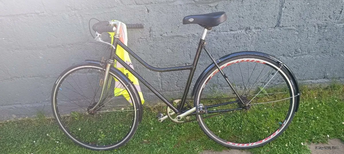 Single Speed Adult Bike - Image 1