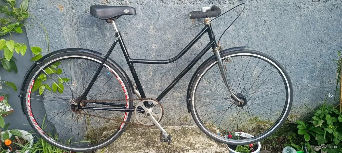 Single Speed Adult Bike - Image 4