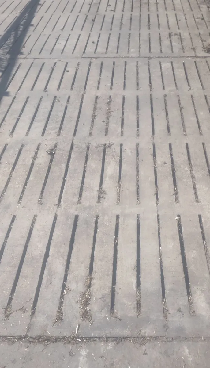 Universal slats -beef, sheep, pig, deer, goats