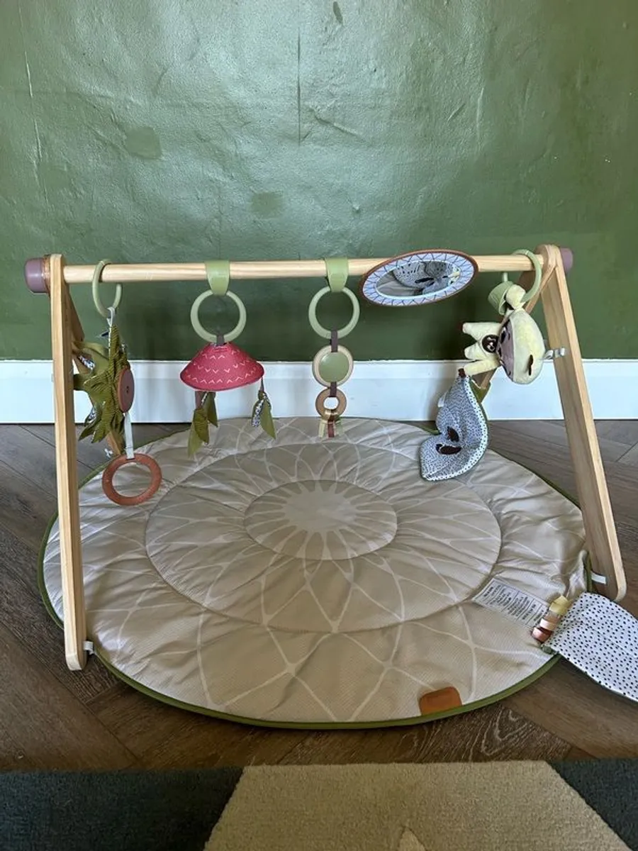 Tiny Love Play Gym - Image 1