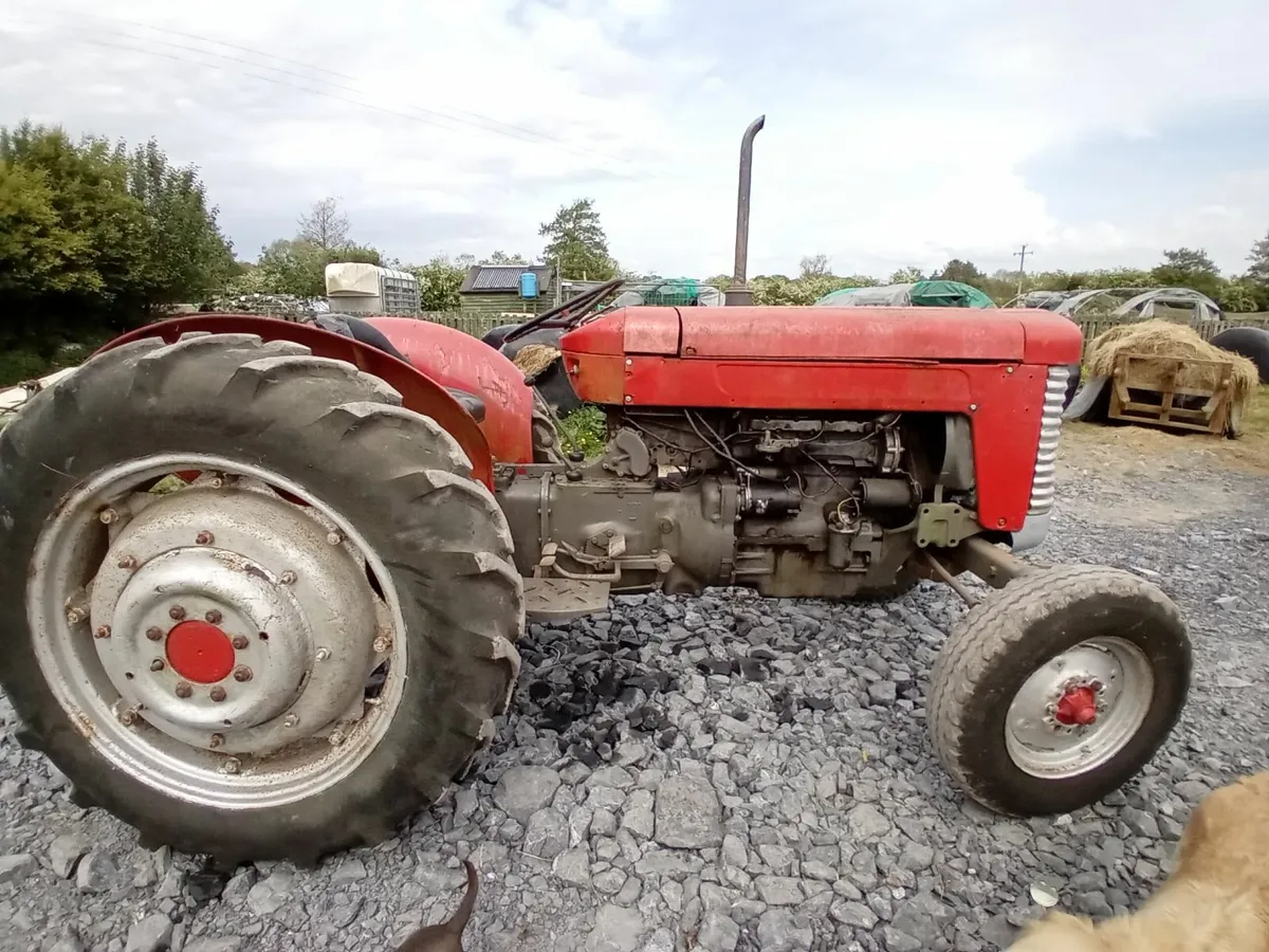 Vintage tractors - Image 2