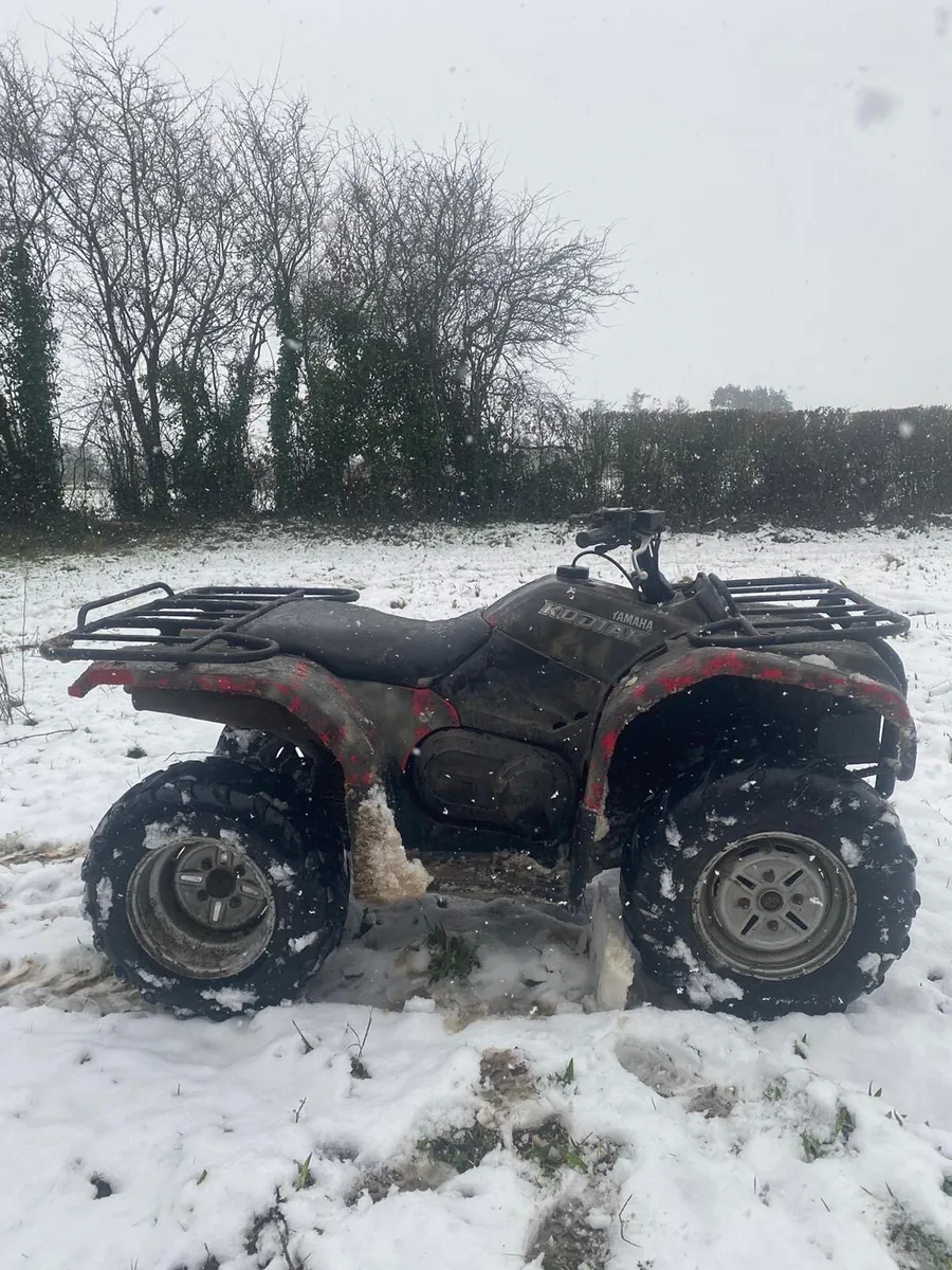 Yamaha kodiak - Image 2