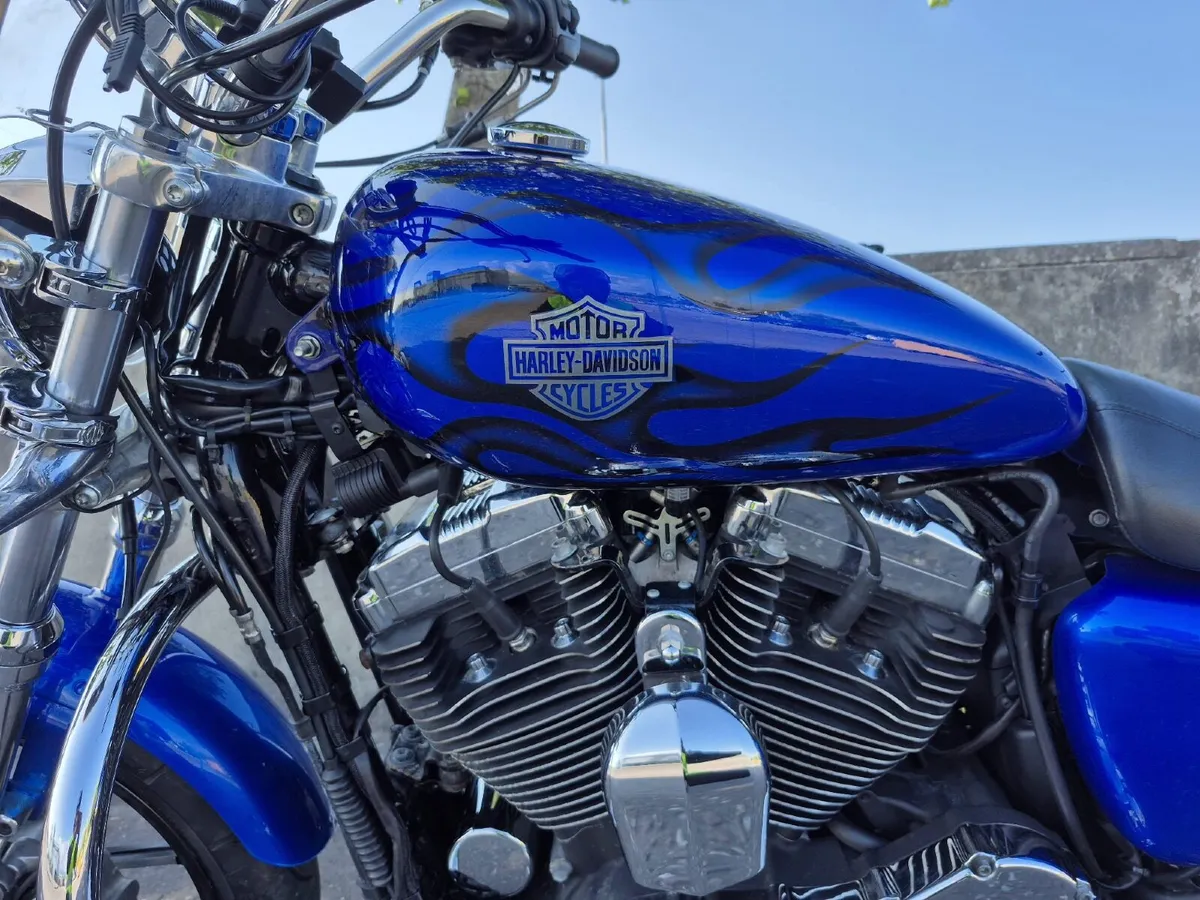HARLEY DAVIDSON Sportster 1200 - Image 3