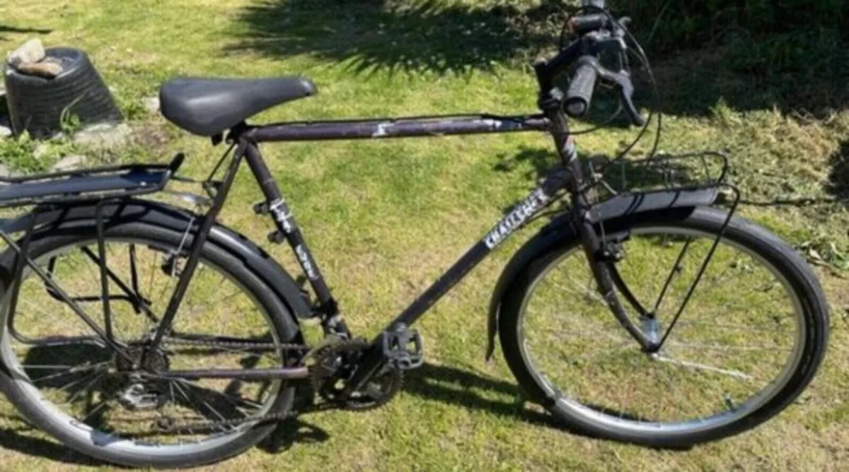Mountain bike