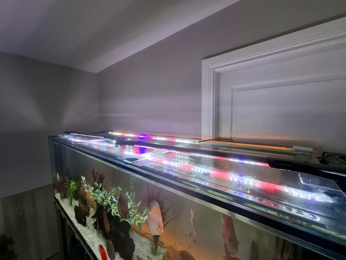 Aquarium - Image 3