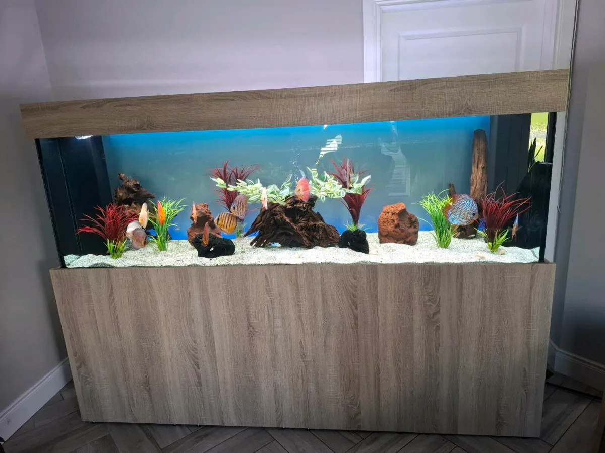 Aquarium - Image 1
