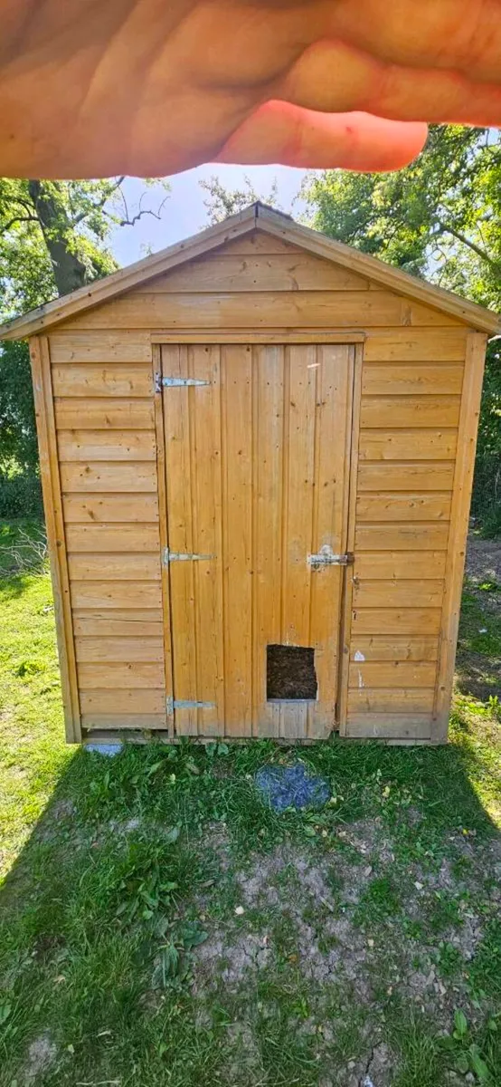 Shed - Image 4