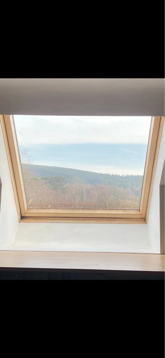 Velux Window - Image 1