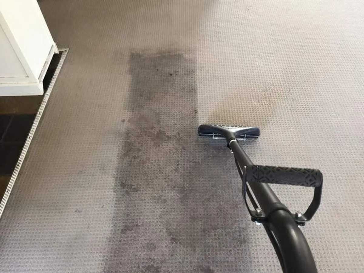 Professional Cleaning of Upholstery and Carpets - Image 4