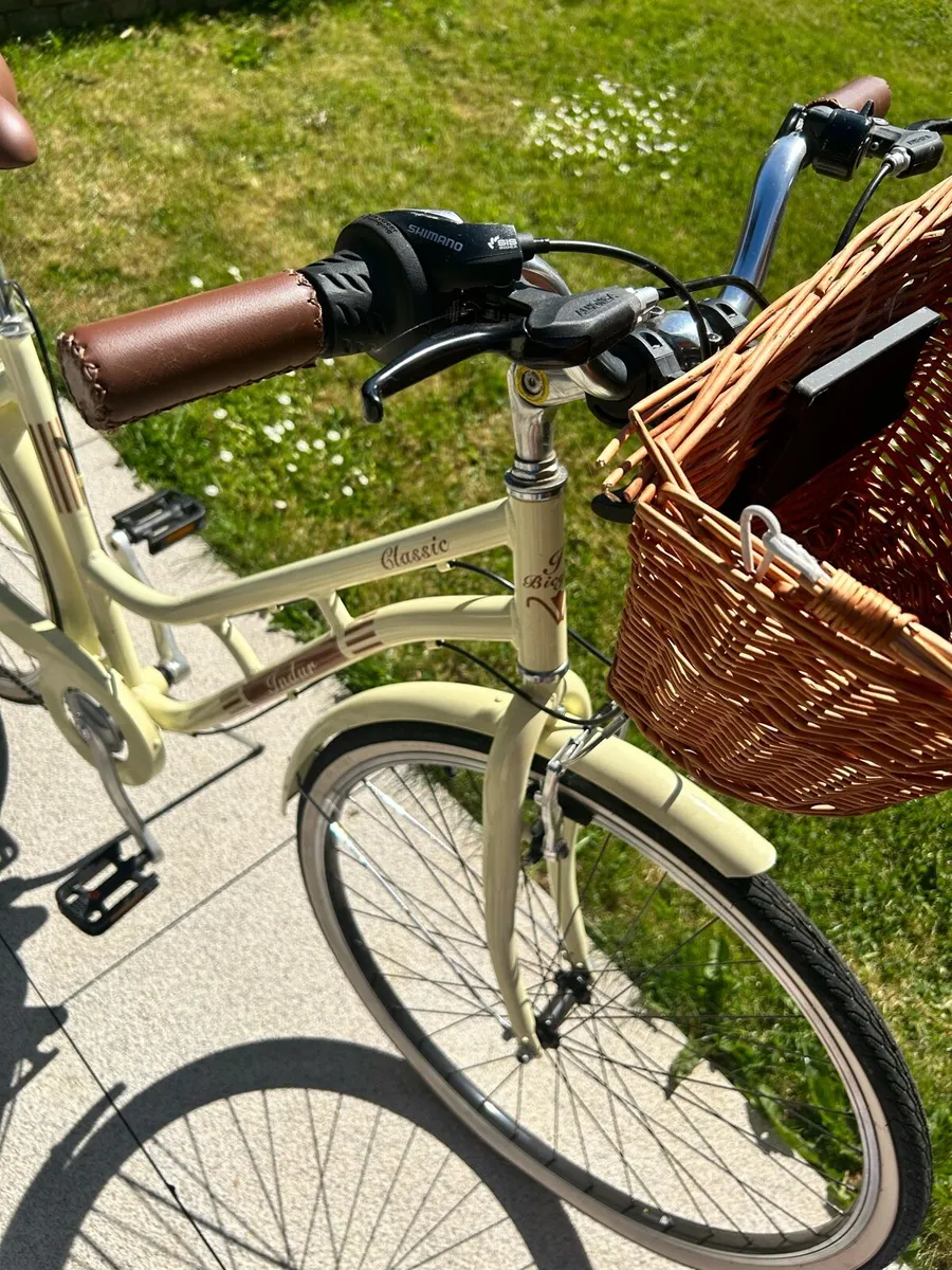 Beautiful Ladies Basket Bike - Image 1