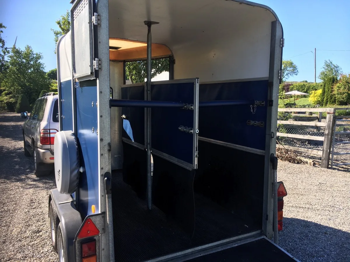 IFOR WILLIAMS 505 - Image 4