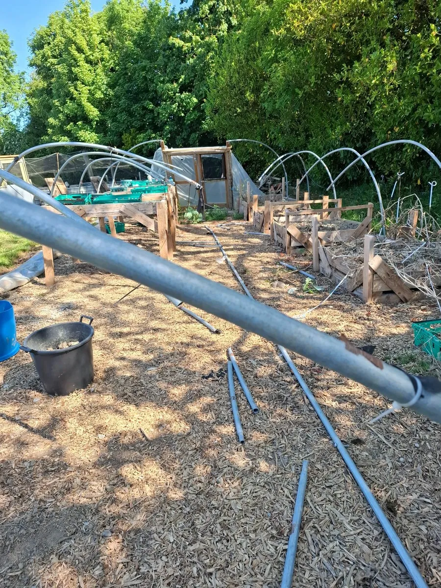 Polytunnel - Image 1