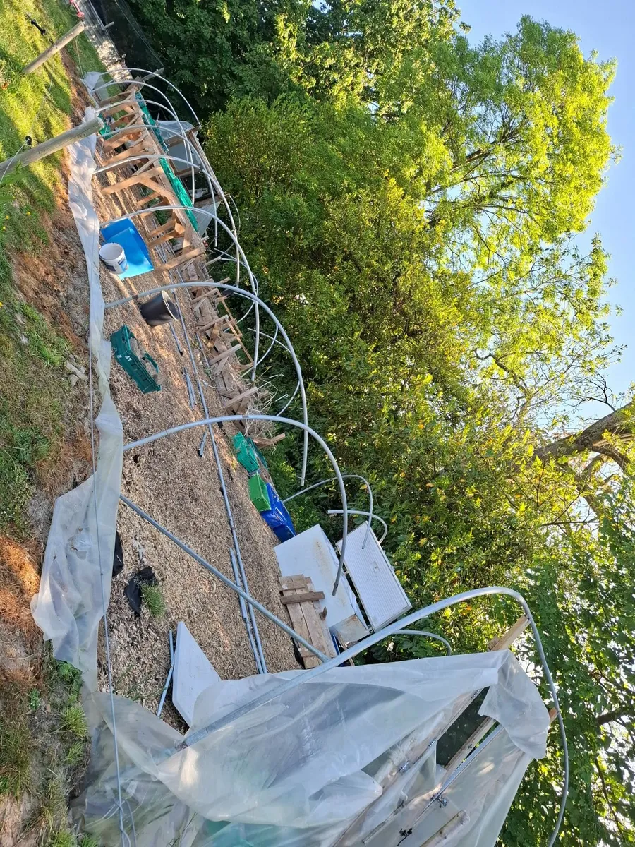 Polytunnel - Image 3
