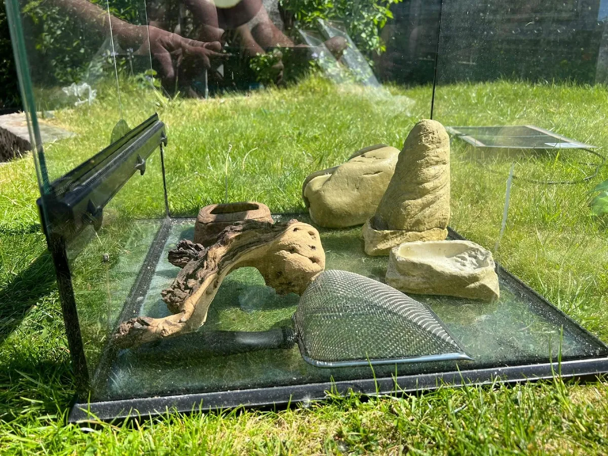 Exo Terra  Natural Terrarium Small Wide - Image 2
