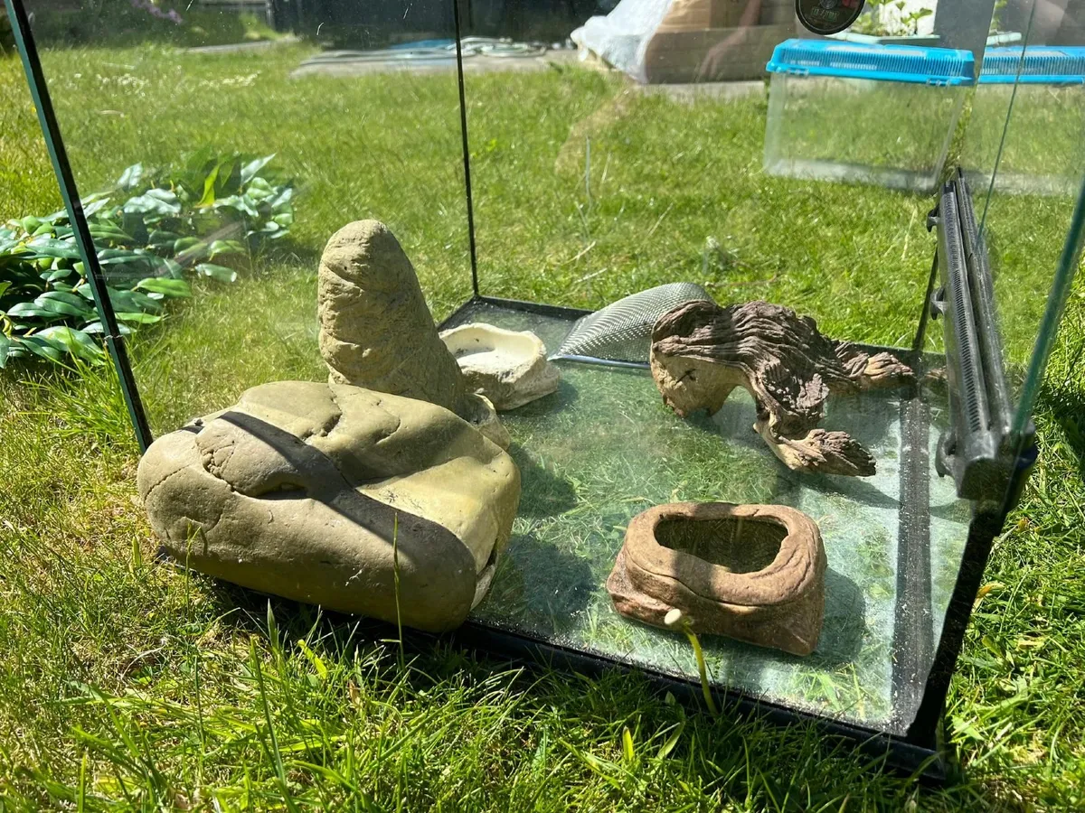 Exo Terra  Natural Terrarium Small Wide - Image 3