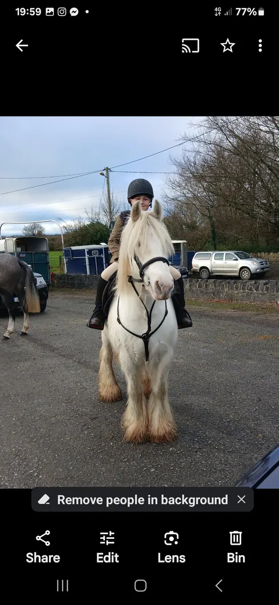 Beautiful cob pony - Image 1