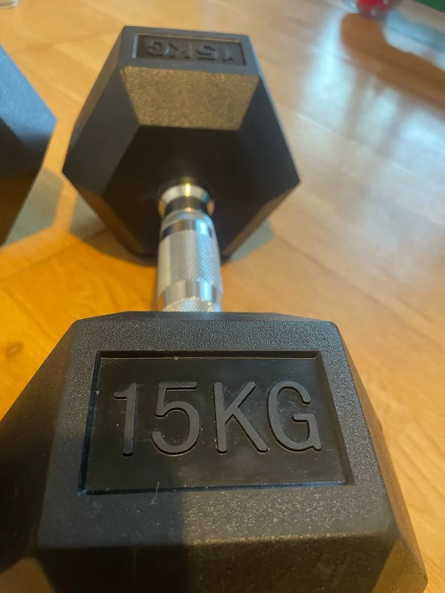 15kg Rubber Dumbells - Image 3