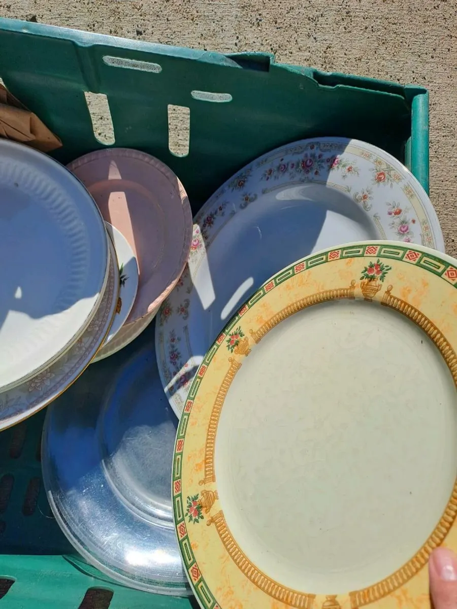 Free crate of plates and bowls - Image 3