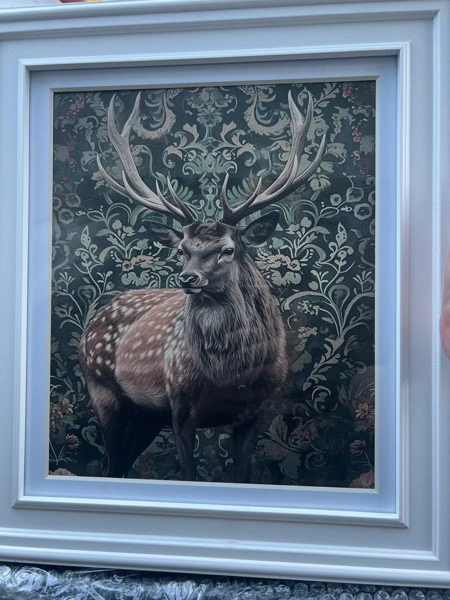 Framed Irish Wildlife prints - Image 2