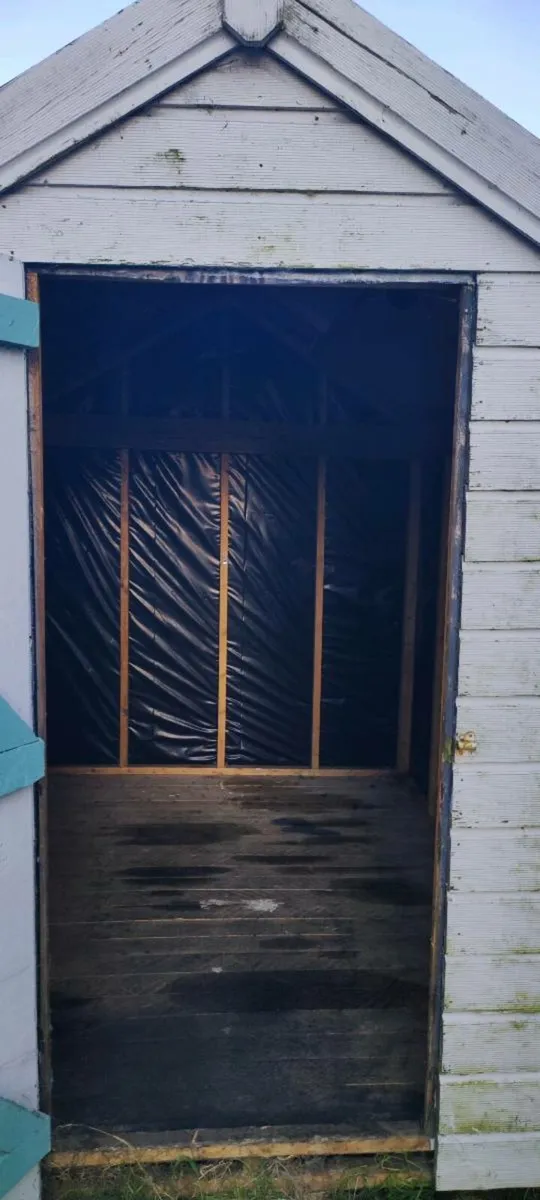 8' x 6' timber shed (structurally sound) - Image 2