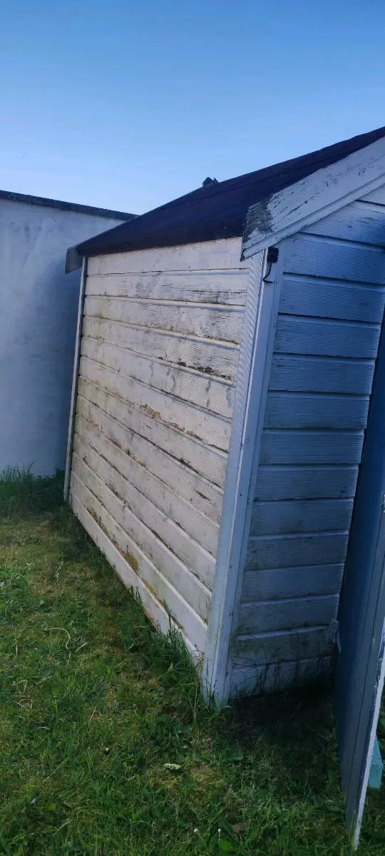 8' x 6' timber shed (structurally sound) - Image 3