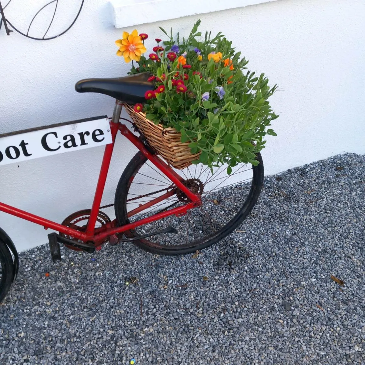 Butchers bike - Image 3