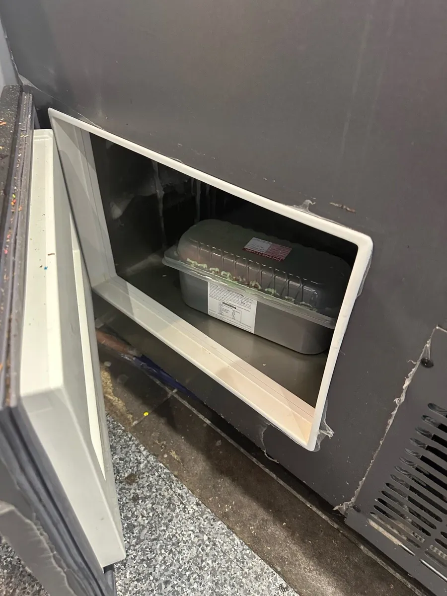 IceCream Freezer - Image 1