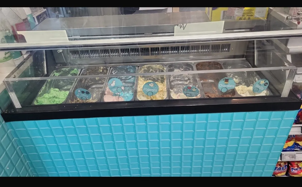 IceCream Freezer - Image 2