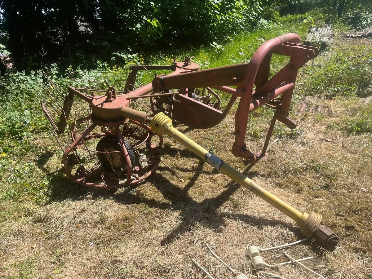 Hay bob - Image 1