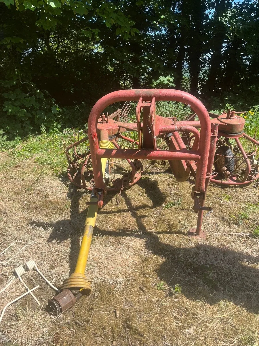 Hay bob - Image 4