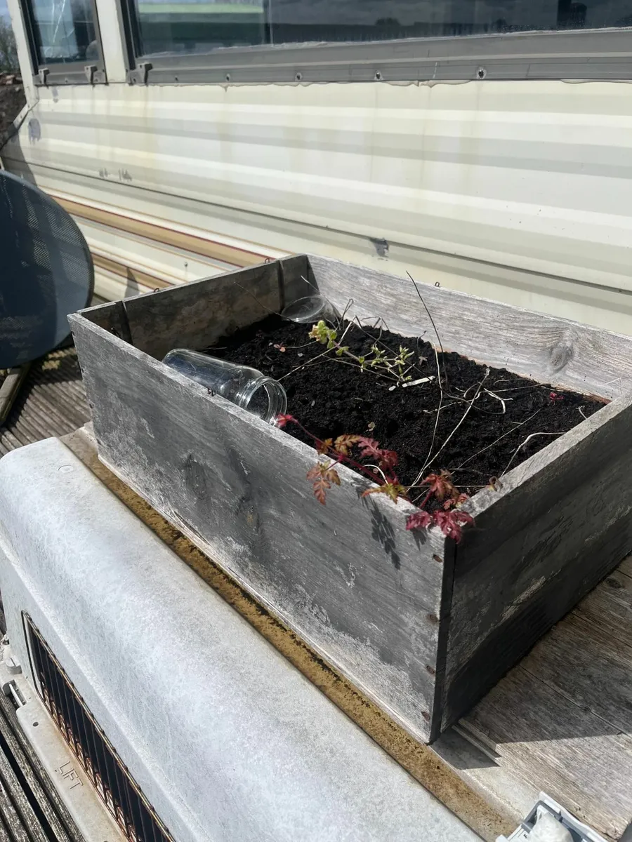 x4 Raised Beds FOR FREE - Just collection required - Image 2