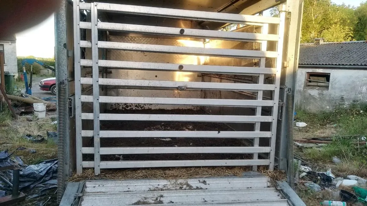 Easy load sheep decks for for Williams 10x 6"6 - Image 3
