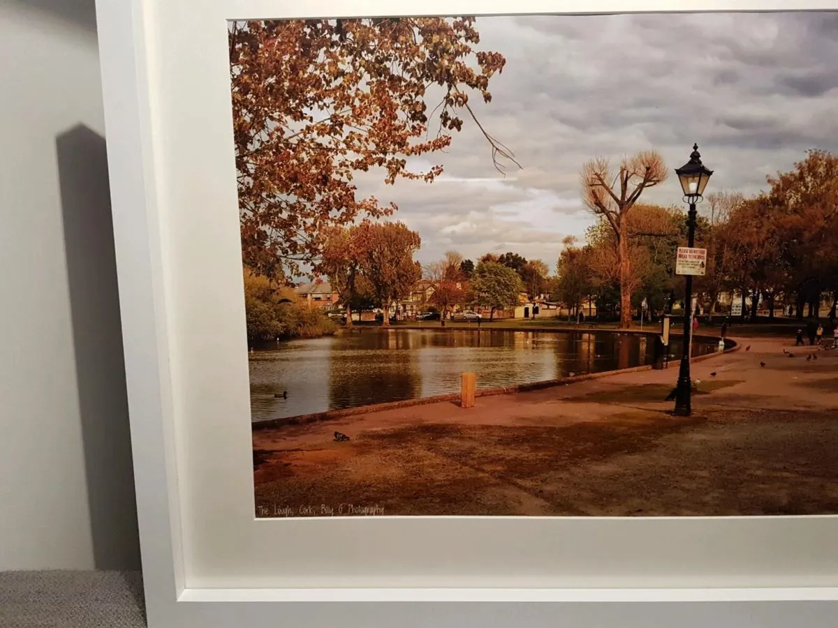 The Lough, Cork - Image 2